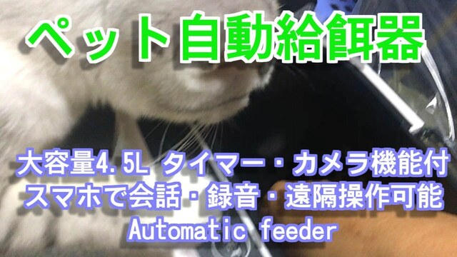 ペット用自動給餌器 簡単餌やり 犬猫に おすすめ便利グッズ・アイデア商品 猫動画 
