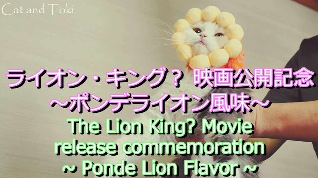 ライオン・キング？ 映画公開記念～ポンデライオン風味～おもしろ猫/可愛い子猫