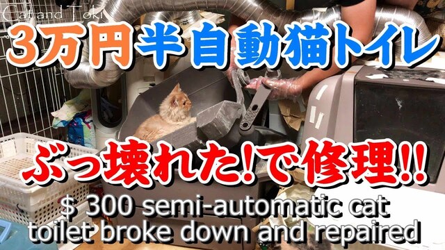 猫トイレぶっ壊れる。半自動猫トイレ修理DIY｜可愛い子猫動画