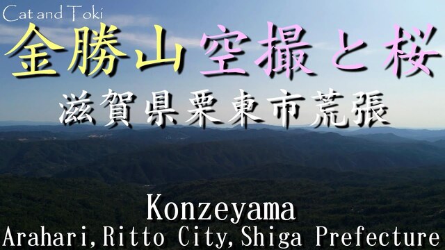 旅行ブログ｜金勝山桜 滋賀県栗東市絶景スポットドローン空撮